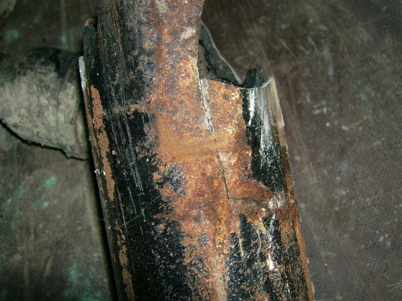 DSCI0324 (Medium).JPG