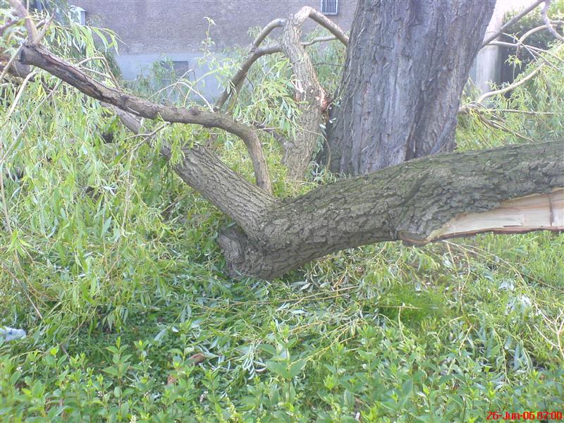 DSC02004 (Medium).JPG