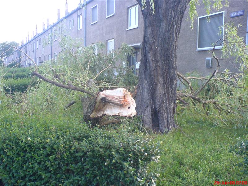 DSC02005 (Medium).JPG