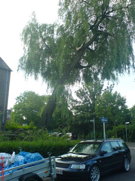 DSC02007 (Medium).JPG