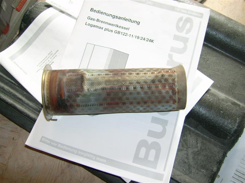 DSCI0409 (Medium).JPG