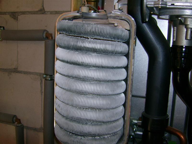 DSCI0412 (Medium).JPG