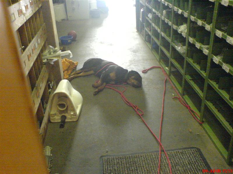 DSC02051 (Medium).JPG