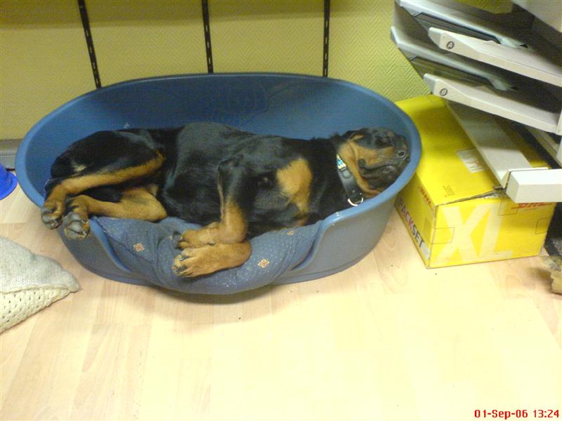 DSC02309 (Medium).JPG