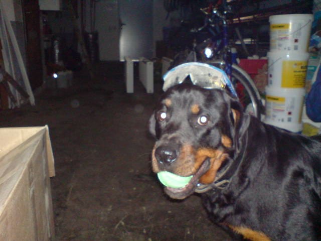 dsc00394.jpg