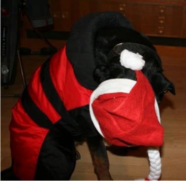 dezember2008-028-medium