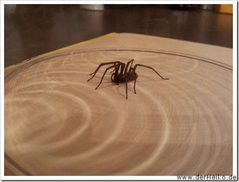 20120425_225429 (Medium)