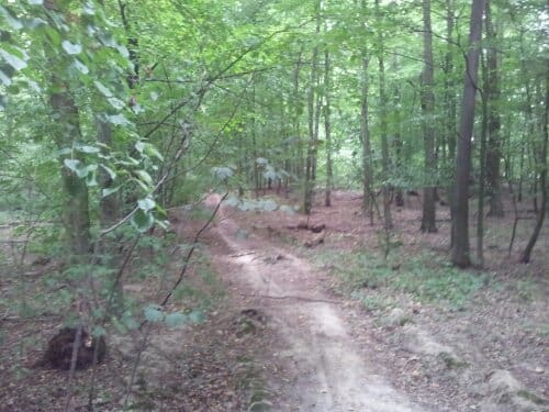 C360_2012-08-14-17-25-56.jpg image