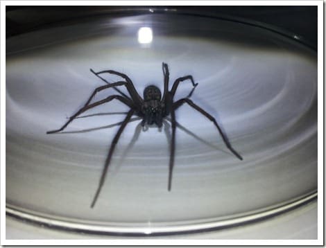 CameraZOOM-20121121183611654 (Groß)