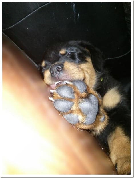 13562807952523 (Mittel)