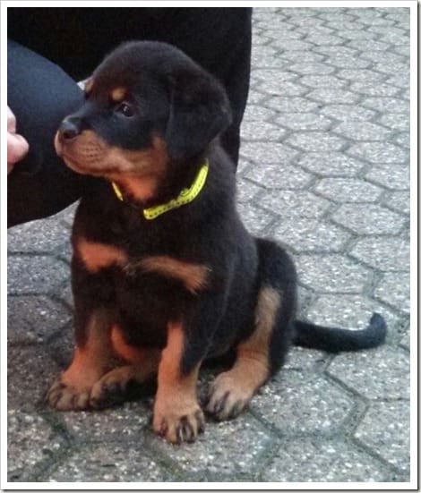 13562807961255 - Kopie