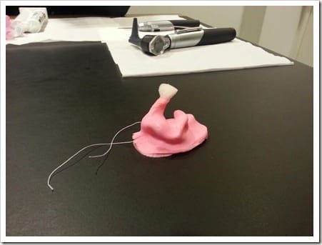 13586205169124 (Large)