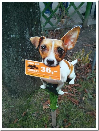 IMG_20121230_150117 (Groß)