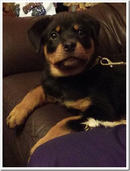 IMG_20130101_174807 (Groß)