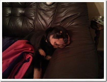 IMG_20130101_183455 (Groß)