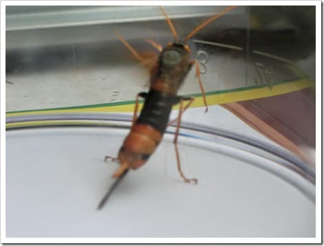 CIMG1389 (Gro&szlig;)