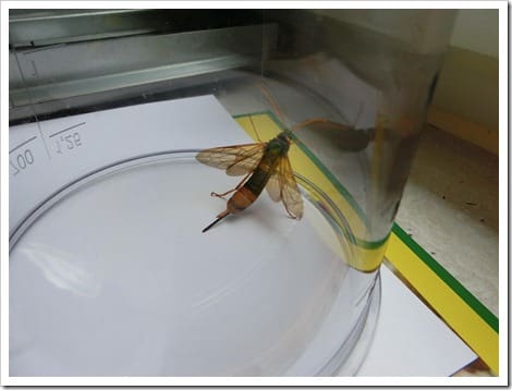 CIMG1392 (Gro&szlig;)