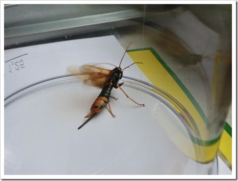 CIMG1394 (Gro&szlig;)