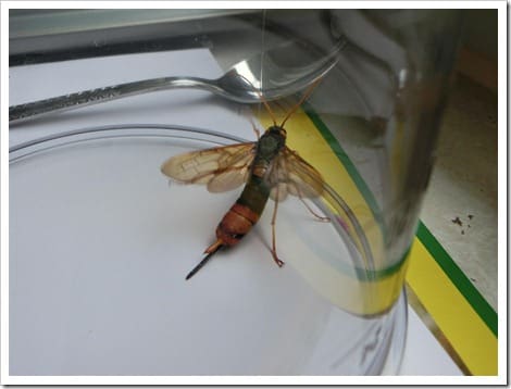 CIMG1396 (Gro&szlig;)