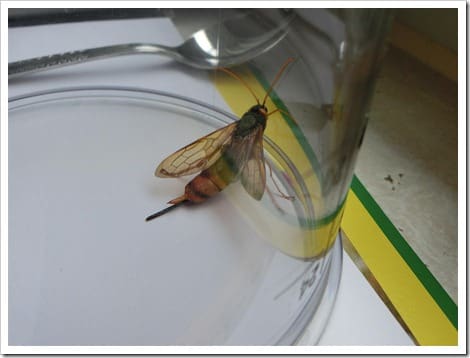 CIMG1397 (Gro&szlig;)