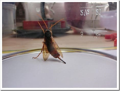 CIMG1399 (Gro&szlig;)