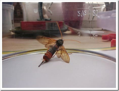 CIMG1400 (Gro&szlig;)