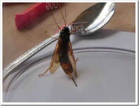 CIMG1407 (Gro&szlig;)