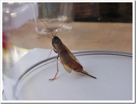 CIMG1413 (Gro&szlig;)