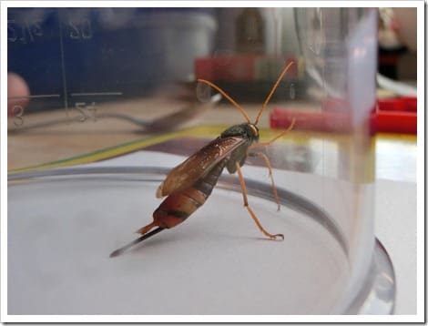 CIMG1416 (Gro&szlig;)