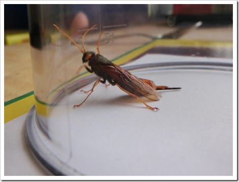 CIMG1424 (Gro&szlig;)