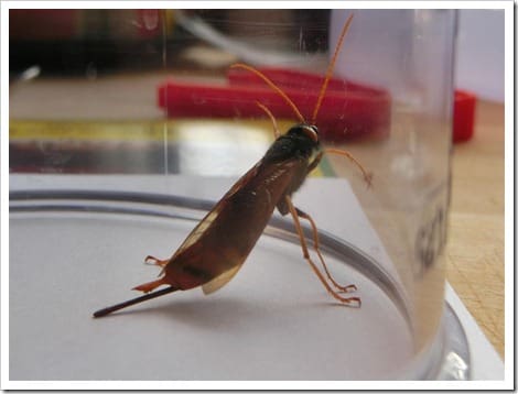 CIMG1425 (Gro&szlig;)