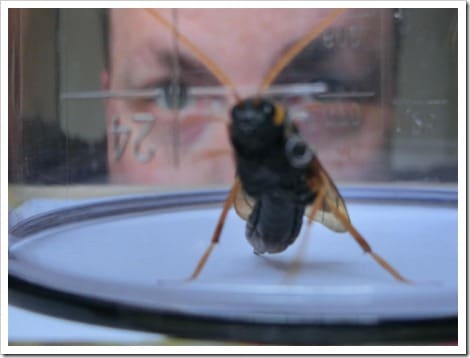 CIMG1426 (Gro&szlig;)