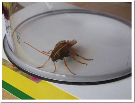 CIMG1429 (Gro&szlig;)