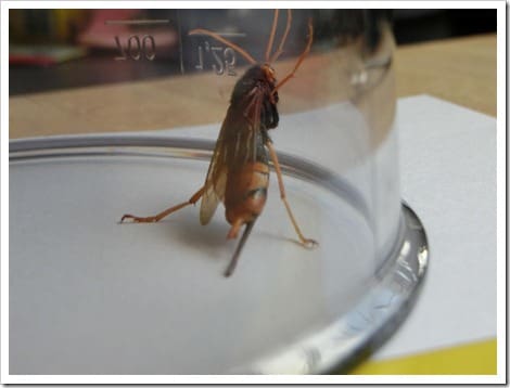 CIMG1433 (Gro&szlig;)