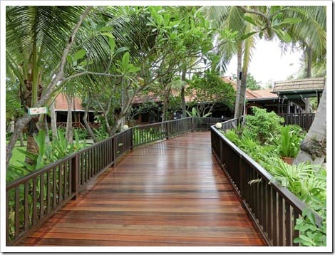 CIMG1547 (Gro&szlig;)