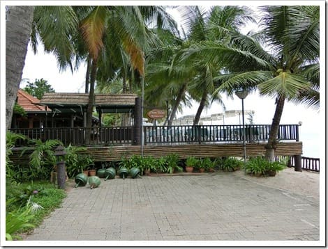 CIMG1548 (Gro&szlig;)