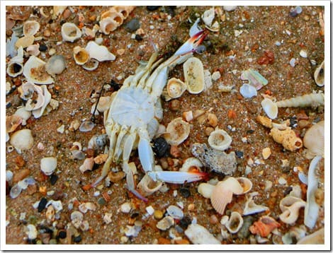 CIMG1584 (Gro&szlig;)