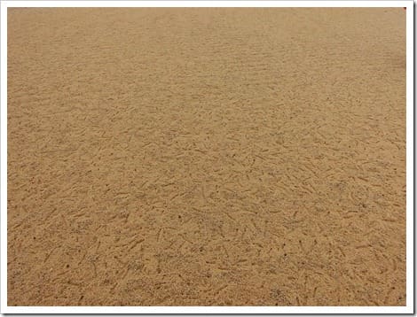 CIMG1585 (Gro&szlig;)