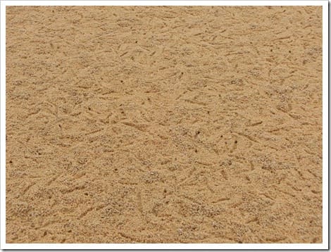 CIMG1586 (Gro&szlig;)