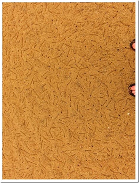 CIMG1588 (Gro&szlig;)