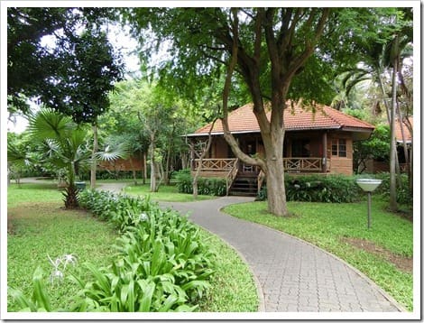 CIMG1600 (Gro&szlig;)