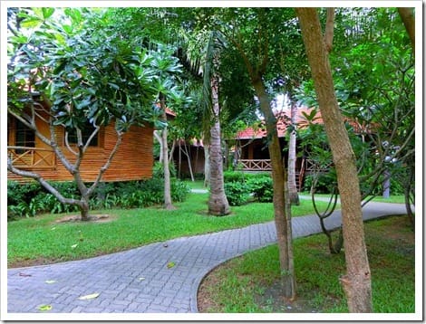 CIMG1602 (Gro&szlig;)