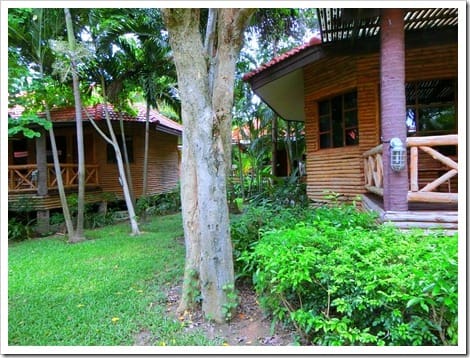 CIMG1603 (Gro&szlig;)