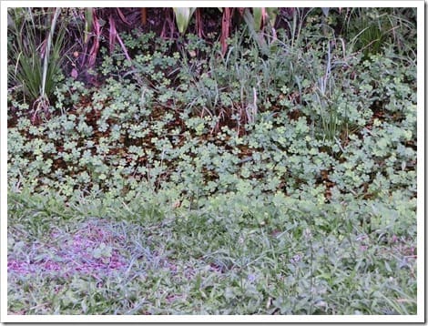 CIMG1612 (Gro&szlig;)