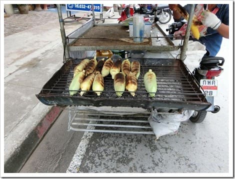 CIMG1633 (Gro&szlig;)