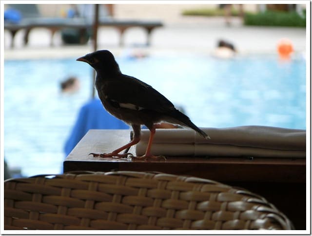 CIMG1812 (Gro&szlig;)