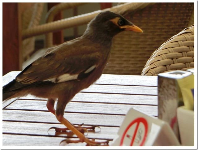 CIMG1815 (Gro&szlig;)