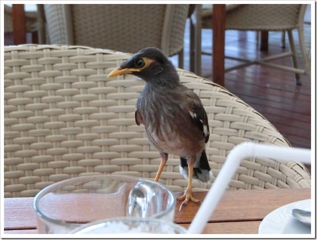 CIMG1820 (Gro&szlig;)