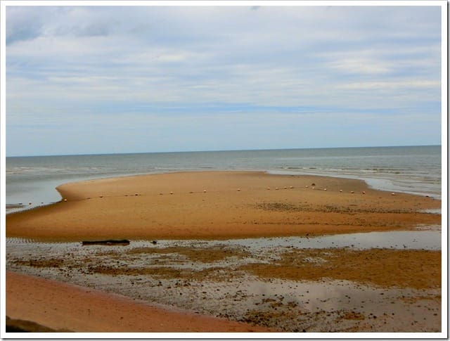 CIMG1835 (Gro&szlig;)