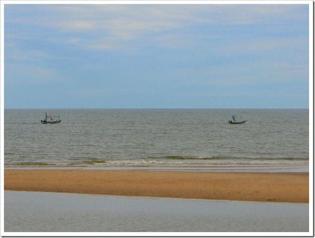 CIMG1839 (Gro&szlig;)